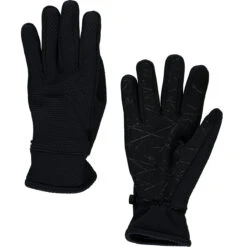 Spyder Encore Glove Mens